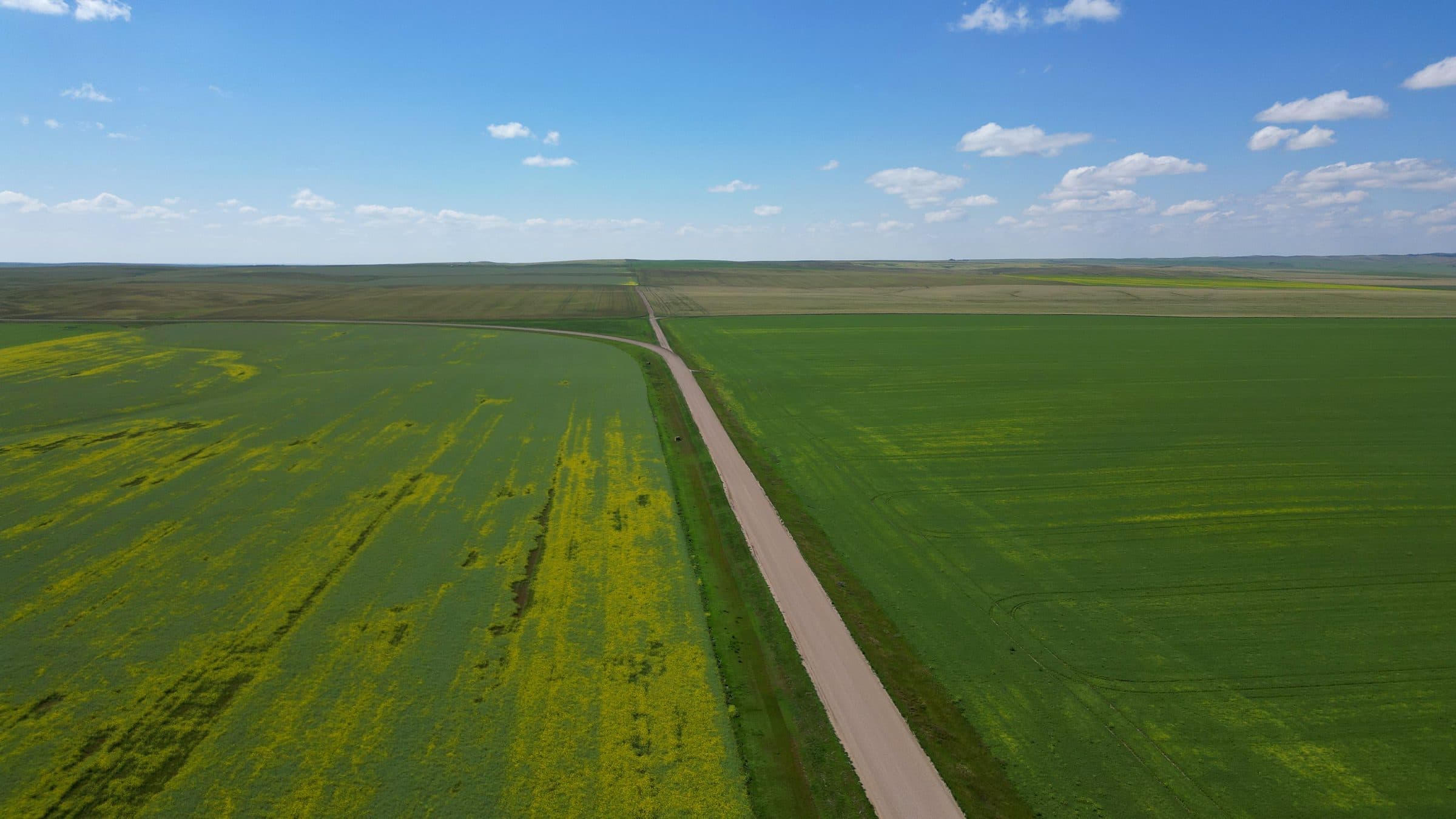 Aerial view of farmland reaching the horizon